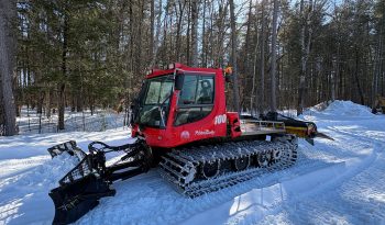 2009 PB 100